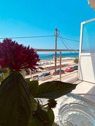 Sea View Apartment2 דירה *